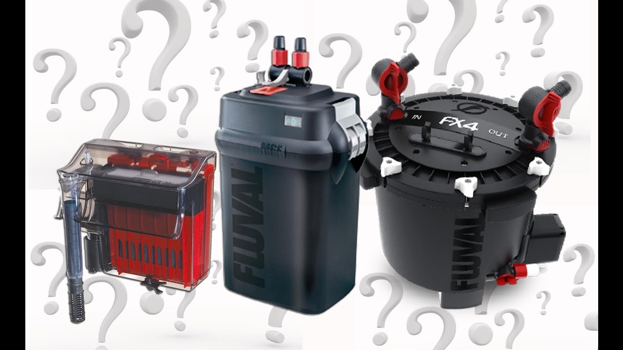 The Best $3 Aquarium Filter Maintenance Tool