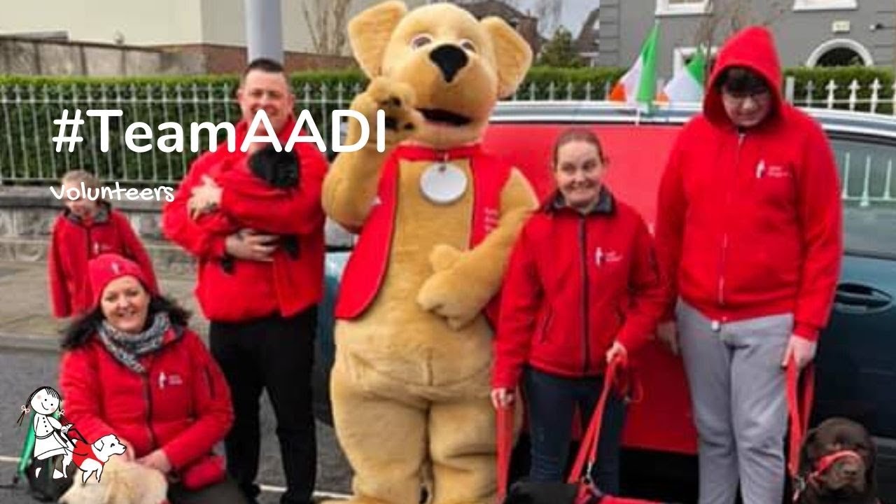 Volunteering for Autism Assistance Dogs Ireland