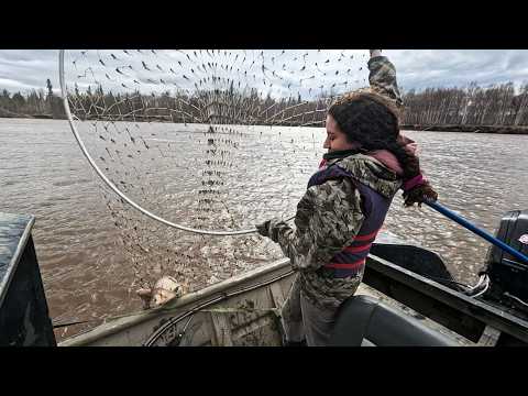 Alaskan Dipnetting and Smoking Fish | 4 Day Spring Harvest