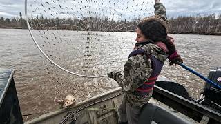 Alaskan Dipnetting and Smoking Fish | 4 Day Spring Harvest