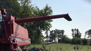 IMG 6517