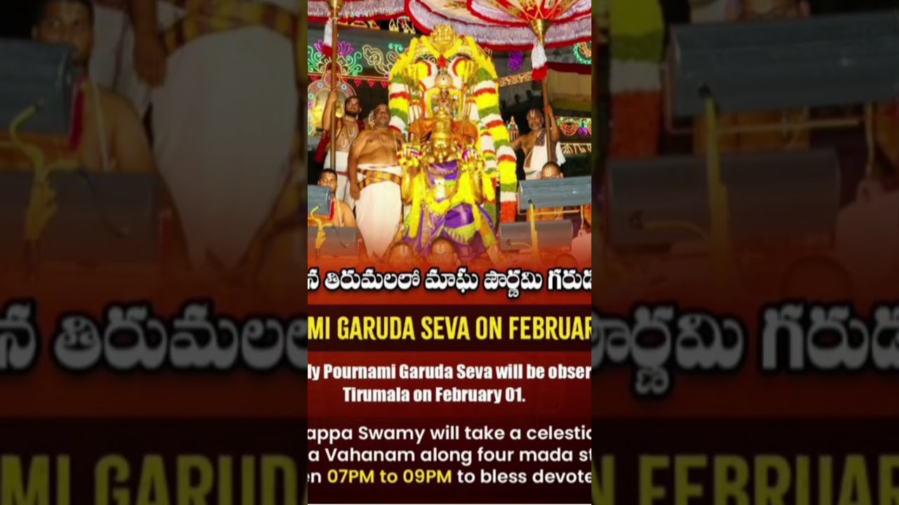 tirumala february 2026 pournami garuda seva full details ttd latest news