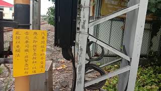 20190907@新北市樹林區俊英街平交道171(ft:蔡俊翊)