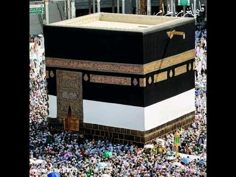 قلبي انغرم بالحرم 