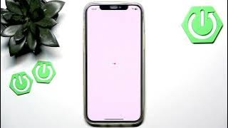 How To Download TikTok Data