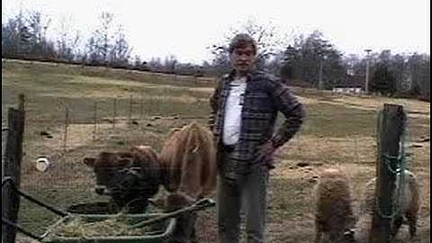 Introduction to Instructional Design: Needs Assessment