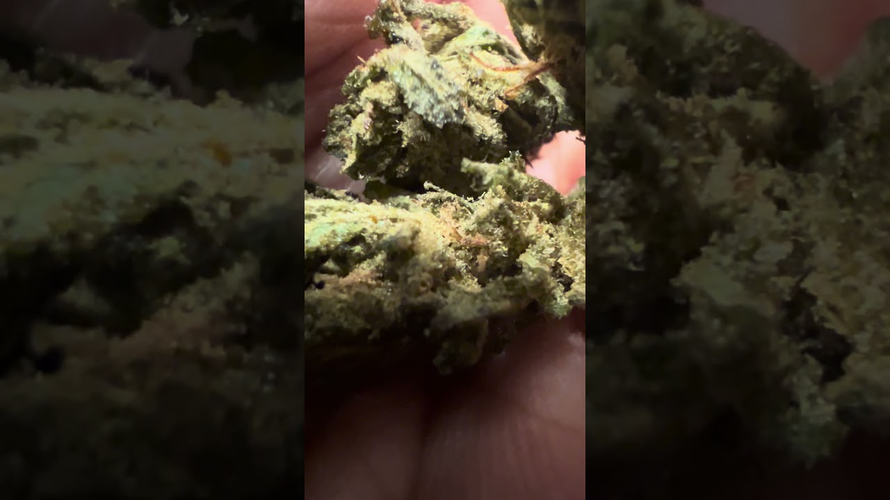 Ripkitty HHC Sour Hawaiian Haze: The Sativa That Fucks Shit Up! Only @ Ripkitty.com