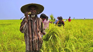 জাতীয় সংগীত - আমার সোনার বাংলা National Anthem of Bangladesh ( BD ) Amar Sonar Bangla