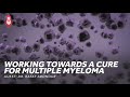 Multiple Myeloma, Bicycles, and Working Toward a Cure