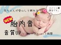 胎内音 赤ちゃんが泣き止む 寝る 寝かしつけ音楽１時間【広告無し】【ママ・パパ保護者用 コメント欄で子育て相談】Womb Sounds / White Noise