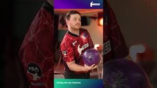 Hammer Black Widow 3.0 Dynasty | Alec Keplinger