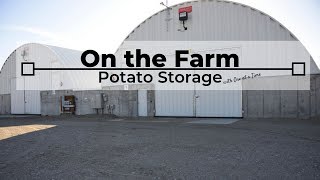 Potato Storage