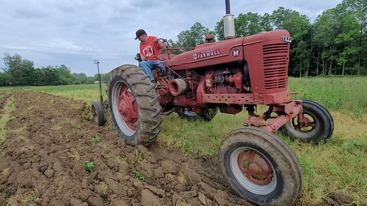 Farmall M Plowing with a Little Genius 3x14 Plow | Advice for TikTok Brain!