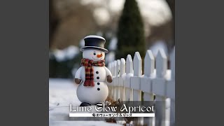 Winter ’ S Embrace