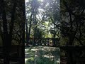 Beautiful View at Quezon Memorial Circle / Quezon City Phils. National Park /Jamila Abalos #shorts