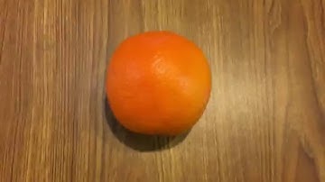 Disney College Program: Check In, Casting and WalMart! (VLOG: 2)