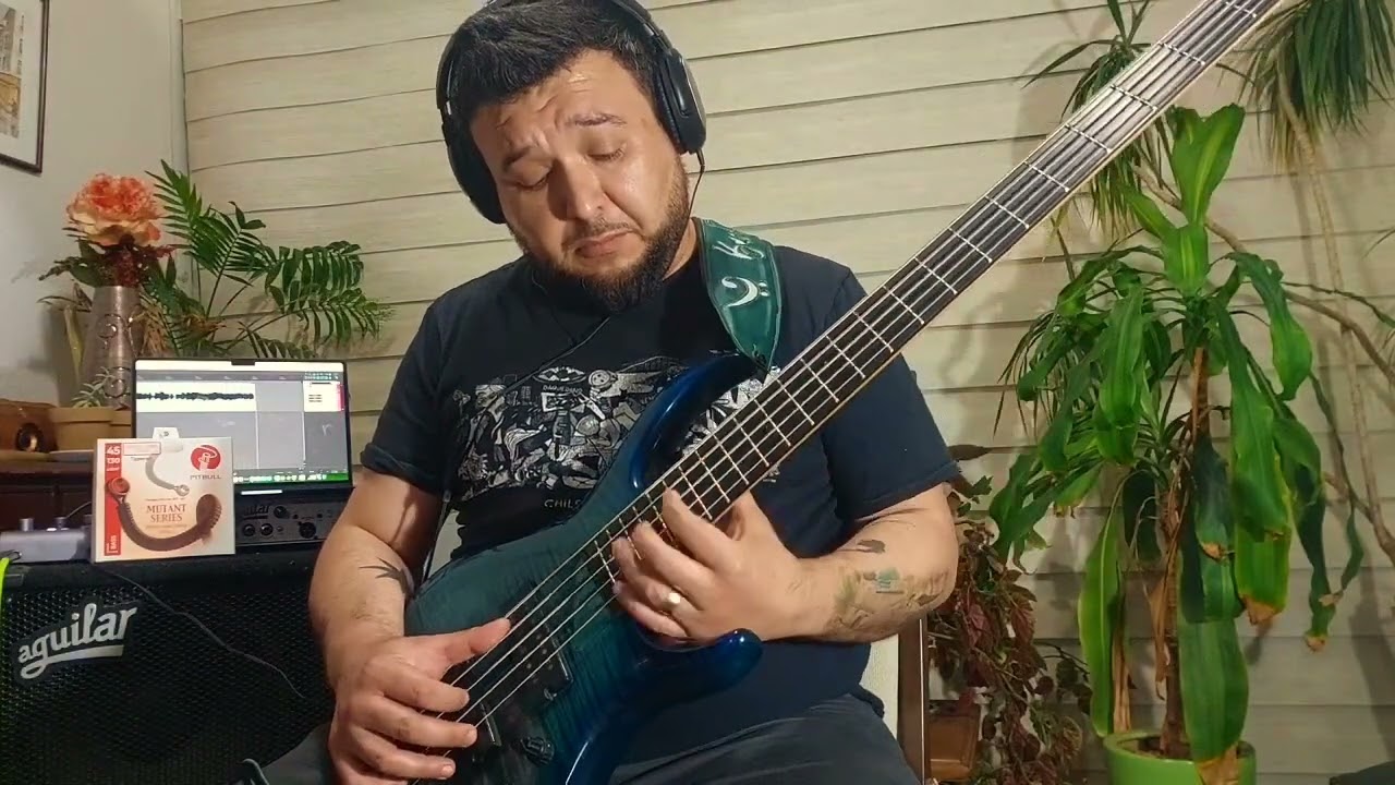 Mike Stern - Wing and a Prayer (Bass Solo) 