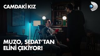Muzo, Sedattan Elini Çekiyor Camdaki Kız 5. Bölüm