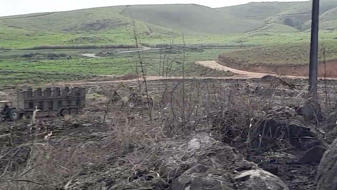 @BCV#CriadorDeConteúdos #carregamento #deCana. 