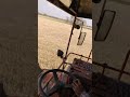 Wheat harvesting   agrifarm vlog  shorts wheat