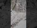 Mudfreakz Snow