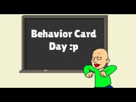 Behavior card day in a nutshell - Behavior card day in a nutshell