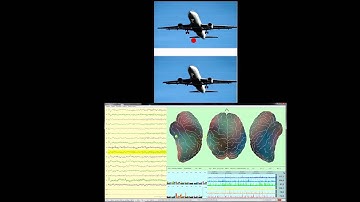 Neurocode Tracking (Quantitative EEG) and Eye Tracking Image Comparison 2