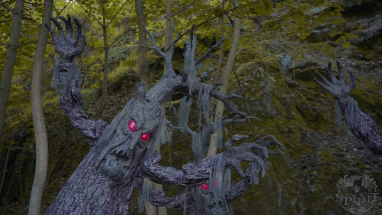 Animated Haunted Tree - Spirit Halloween - YouTube