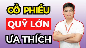 Cổ phiếu được quỹ đầu tư lớn ưa thích nhất