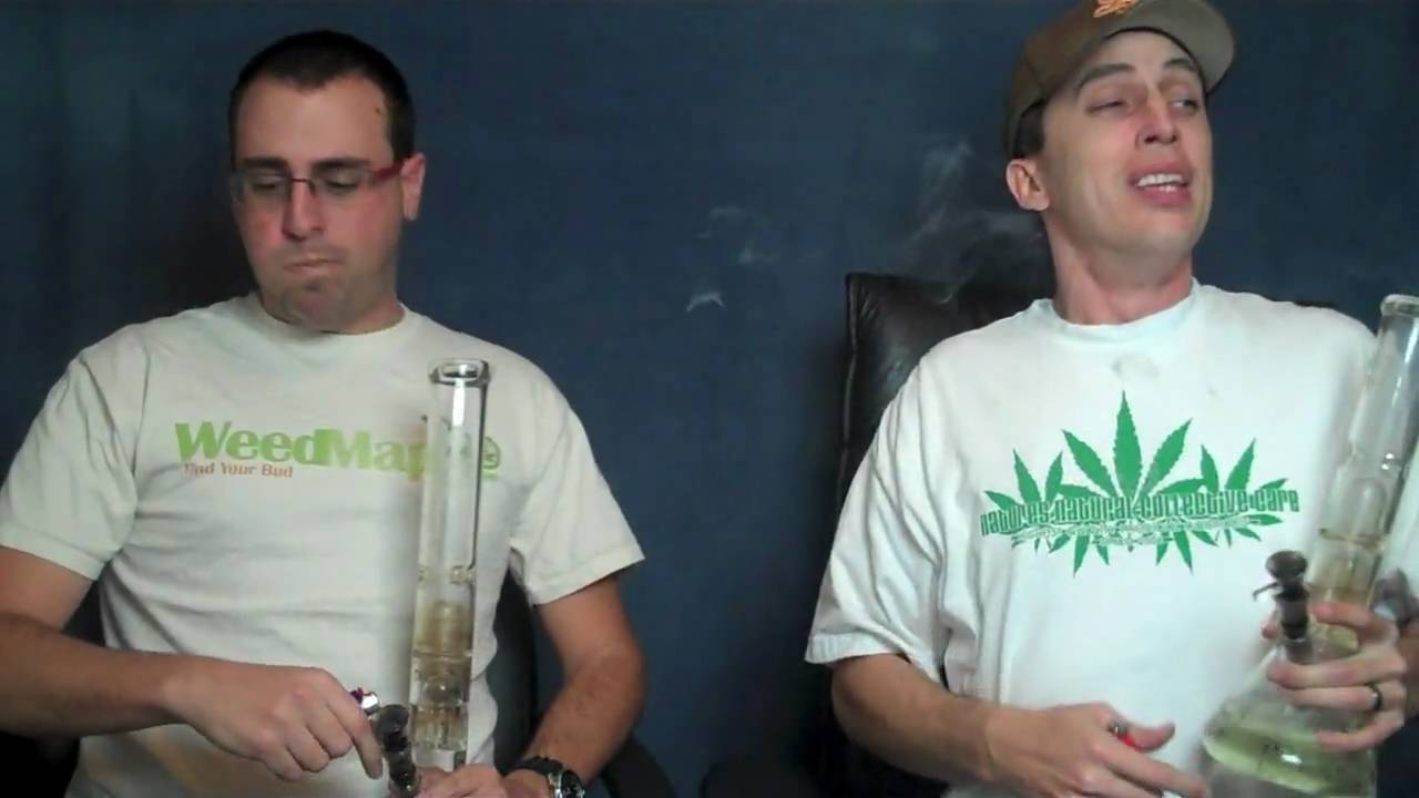 Bootcamp #9 - Strain Review Green Crack