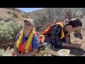 Yakima River Canyon Fossils with Meaghan Wetherell