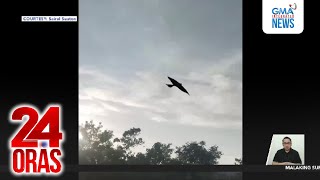 Ibong Lumilipad Sa Olango Island, Cebu, De-Remote 24 Oras