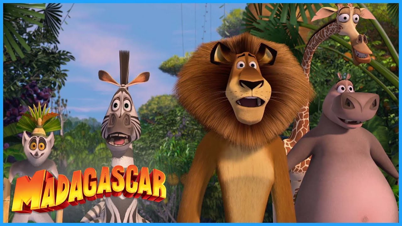 Alex discovers nature | DreamWorks Madagascar - YouTube