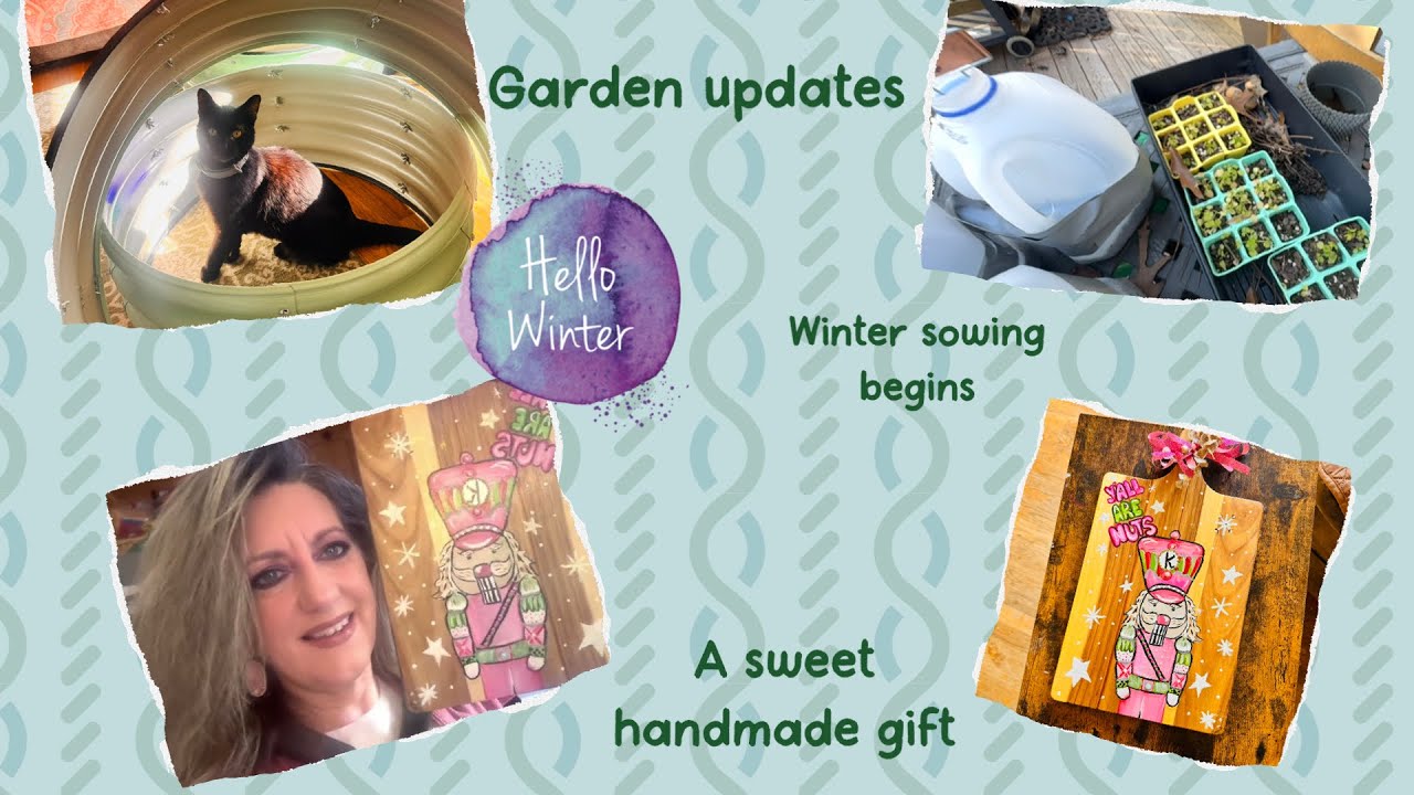 Еженедельный видеоблог! Новости из сада! 