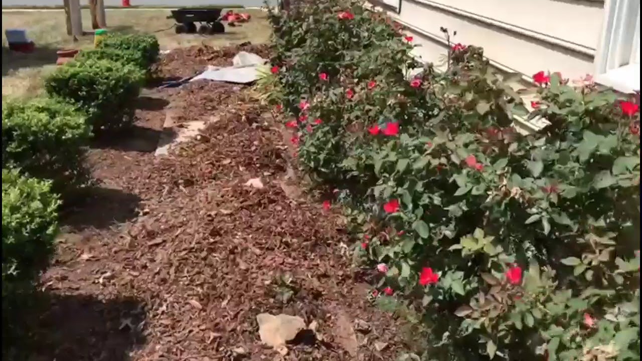 King Tree Service LLC YouTube