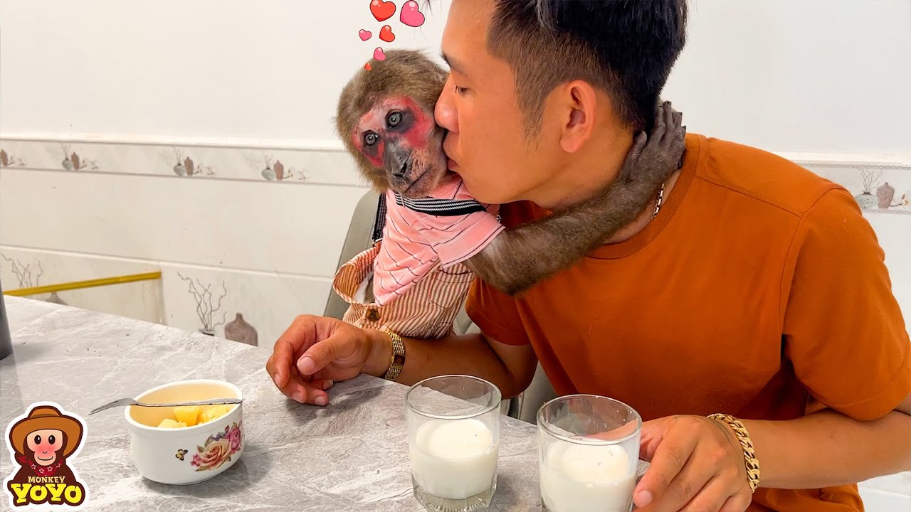 How happy Monkey YoYo Jr is with dad YouTube