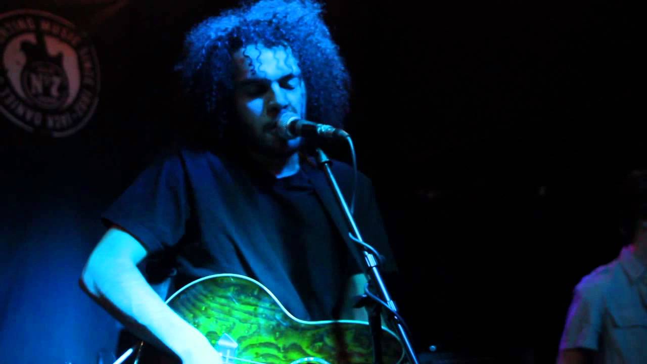 Olive Tree - Brown Bear and The Bandits