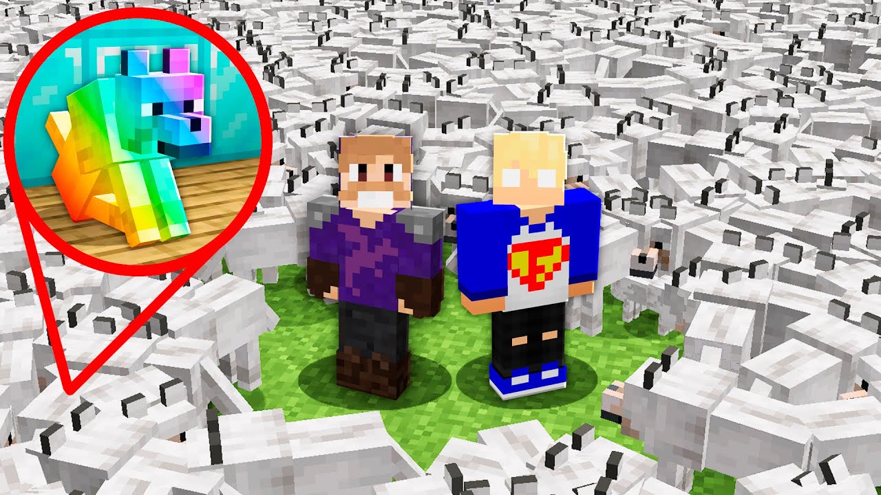 ROUBEI O PET DO TONIGON! - CS5