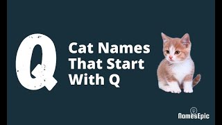 20 Best Cat Names That Start With Q | Girl and Boy Cat Names by NamesEpic 518 views 2 years ago 1 minute, 40 seconds