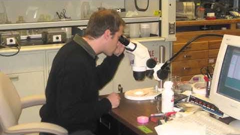 From Field to Lab, Part 4: Reacting CO2 with Rock Cores