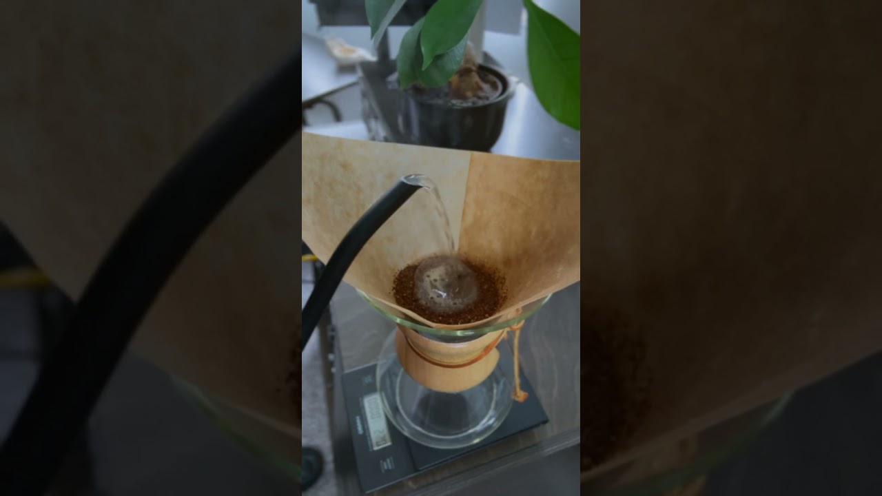 Obejrzyj chemex pour this mornin 🖤☕️🥰 #morningbrew #brewday w YouTube Obejrzyj chemex pour this mornin 🖤☕️🥰 #morningbrew #brewday w YouTube