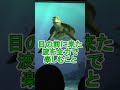 自分らしく生きるには【タートルトーク】東京ディズニーシー