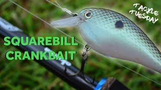 Squarebill Crankbait Fishing Tips ! (Tackle Tuesday #1)