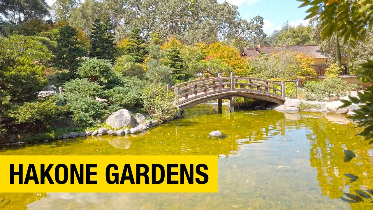 Walking Tour Of Hakone Gardens In Saratoga Youtube