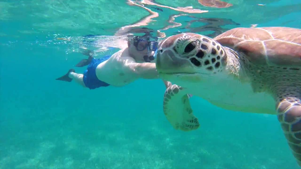 Ambergris Caye, Belize Snorkeling YouTube