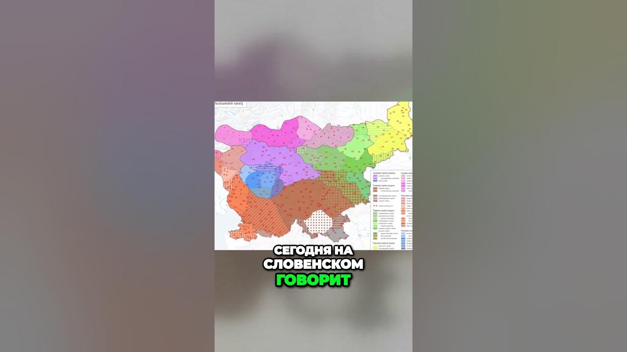 История словенского языка от его происхождения до сегодняшних дней ...
