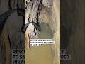 Rescue workers race to save people trapped in Laos cave | AFP