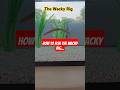 How to fish The Wacky Rig... Underwater View... #shorts