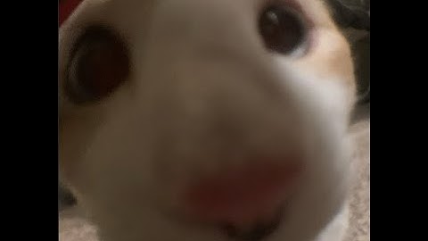 [TETR.IO] SUPERCHARGED 205 B2B CHAIN