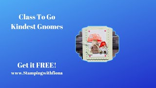 Kindest Gnomes